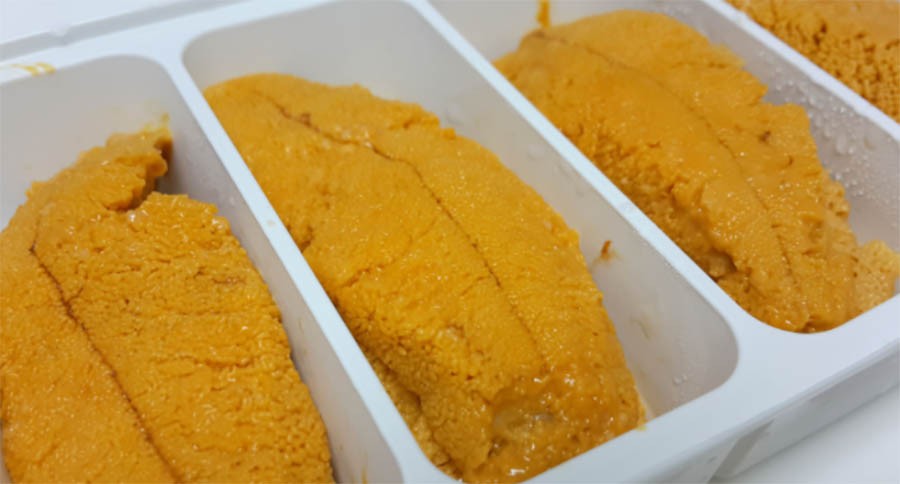 Il miglior riccio di mare da mangiare crudo