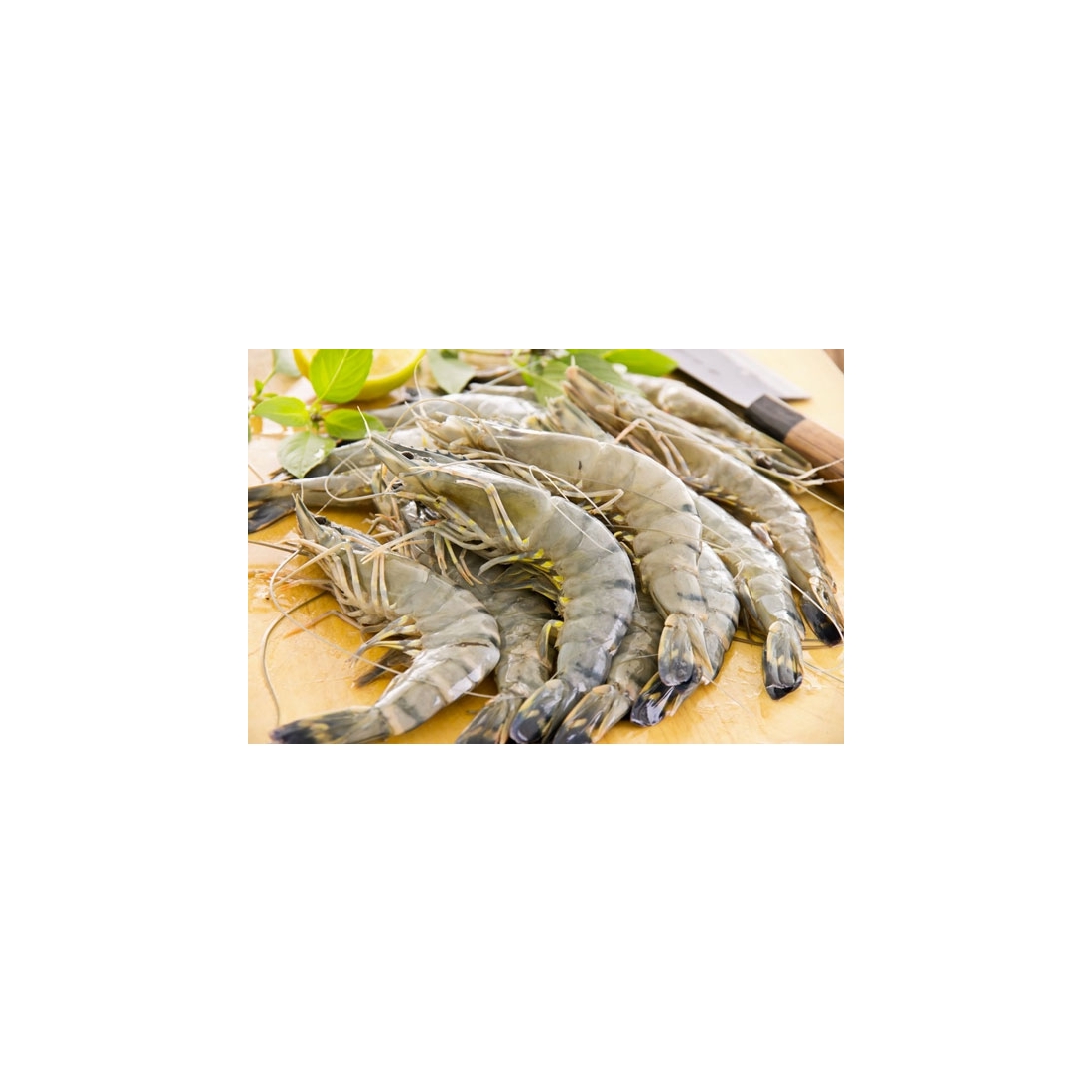 Gamberi Black Tiger per tempura: come si cucinano e le caratteristiche