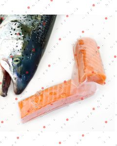 salmone abbattuto per sushi e sashimi