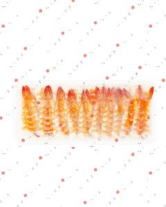 Nipponia Sushi Ebi Premium 5L Gamberi cotti per sushi