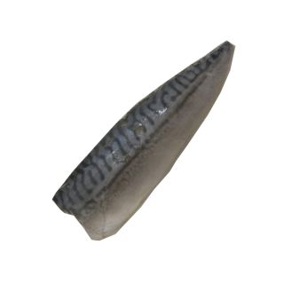 Shime saba Sgombro marinato