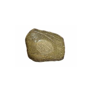 fudo piatto 21 cm