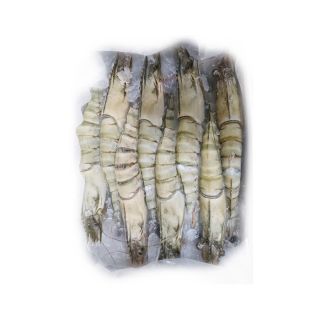 Gamberi Giganti Indopacifici