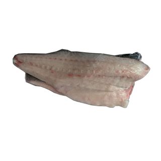 Nipponia Branzino Spigola filetto abbattuto qualità sashimi