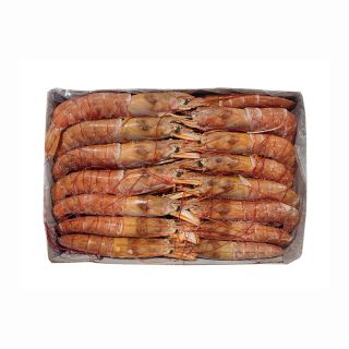 Gamberi argentini L1