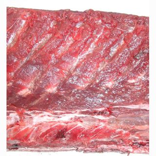 Tonno rosso fresco