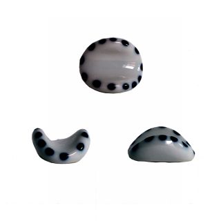 porta hashi ceramica bianco blu