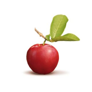 Polpa di Acerola