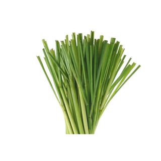 Lemongrass citronella