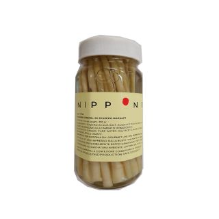 Radici di zenzero