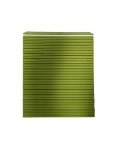 hasegawa makisu in resina alimentare