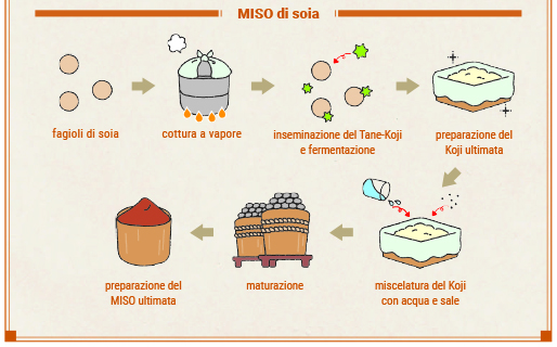 produzione miso