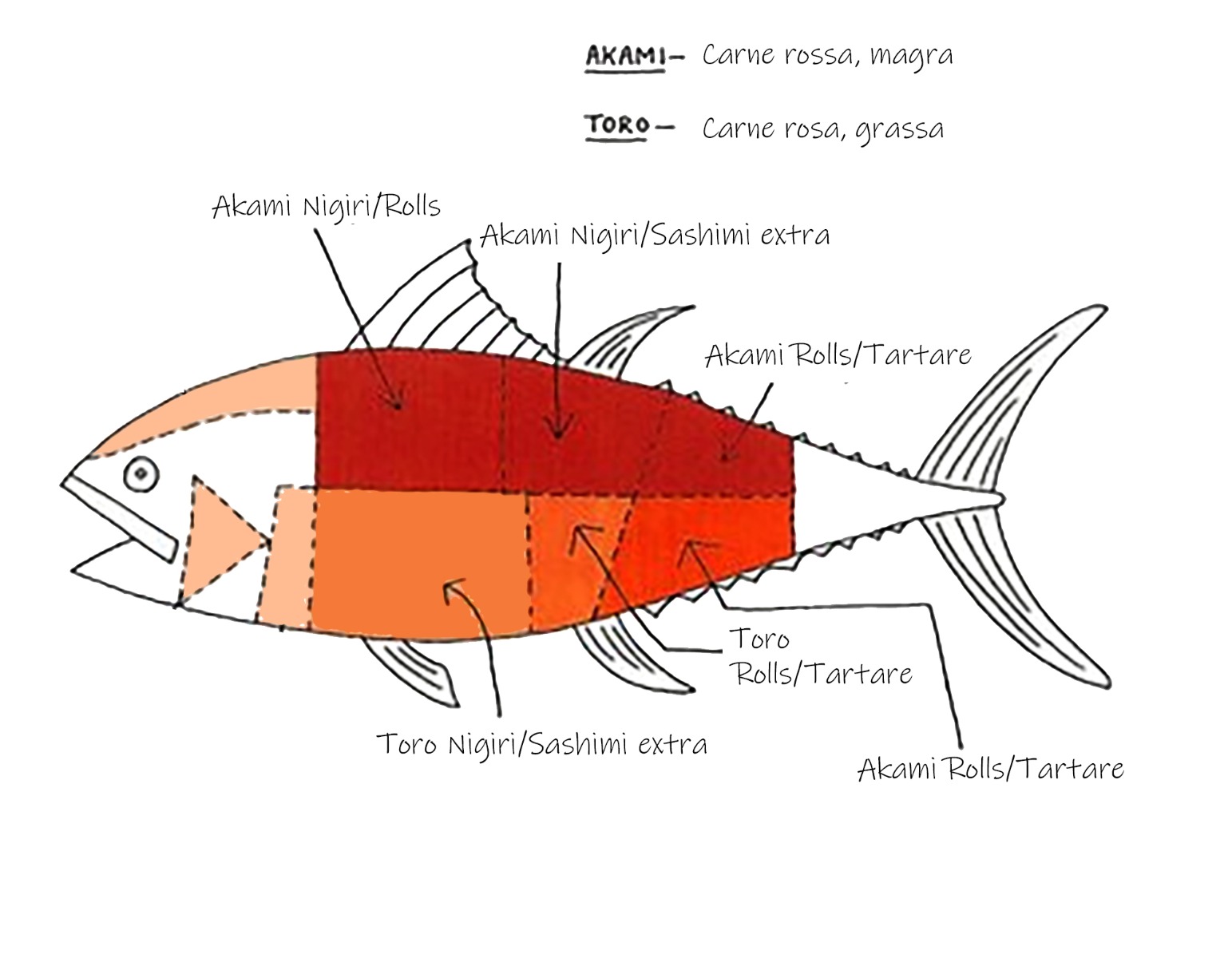 Schema per i tagli per Sushi